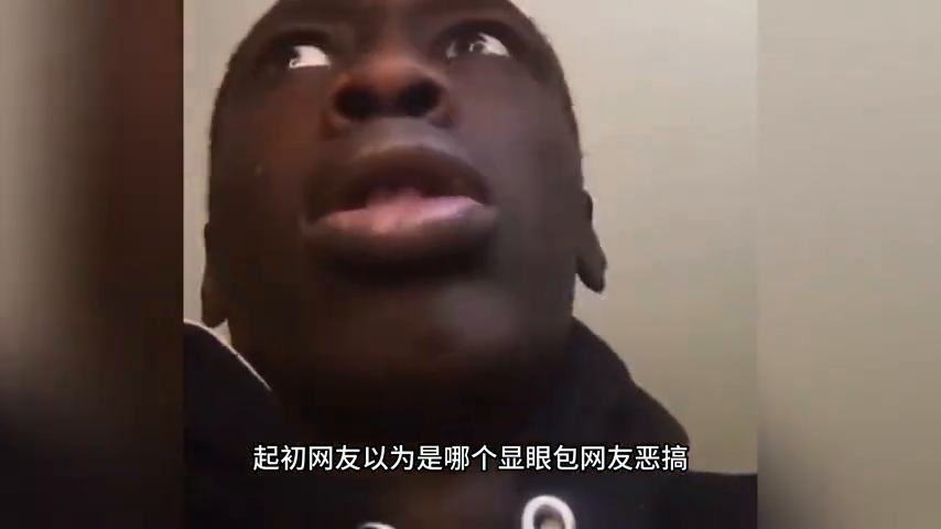 “甄子丹玩自己的梗”是什么意思?
