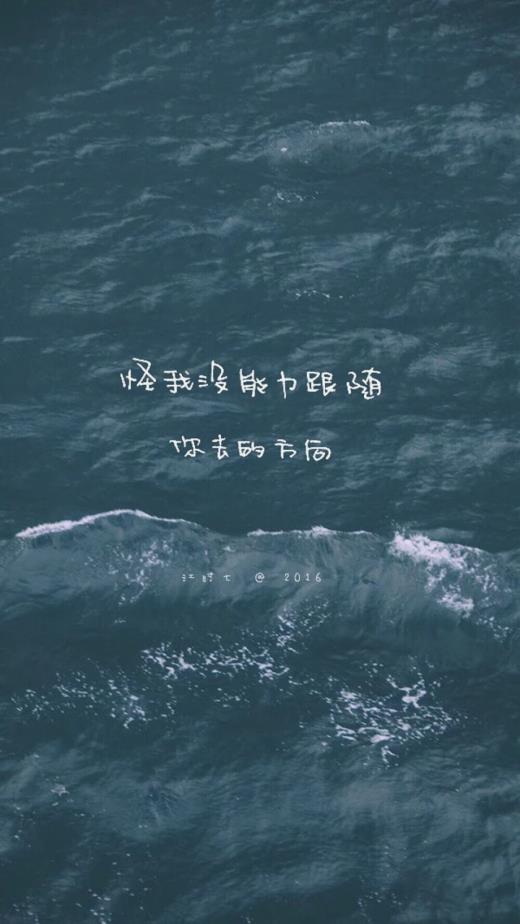 唯美爱情语录2023年