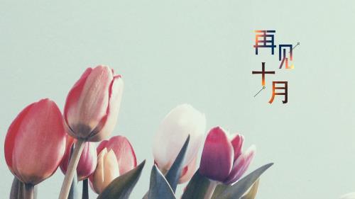 谈恋爱的语录