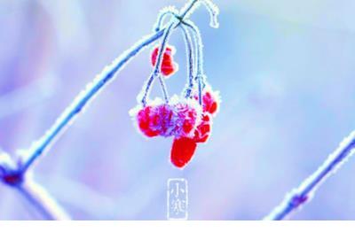 送给老师最暖心一段话