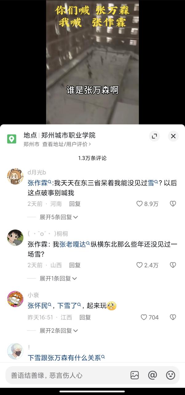 张作霖下雪了是什么梗?