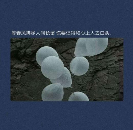 描写禅意的句子