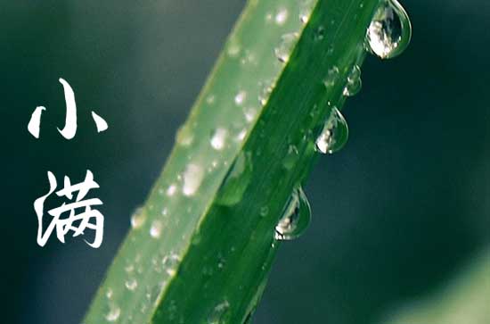 名字叫茹的意义是什么 名字叫茹的意义是什么