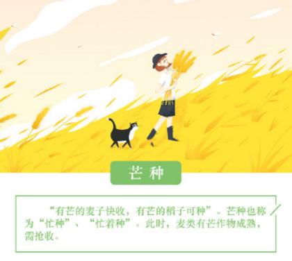 端午安康祝福语短