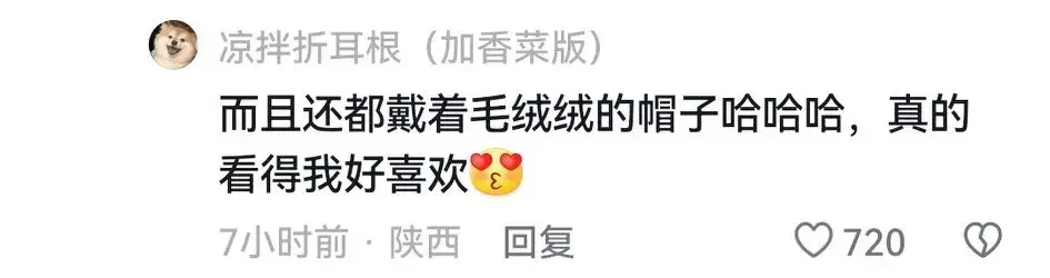 “南方小土豆”是什么梗?