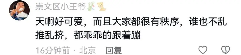 “南方小土豆”是什么梗?