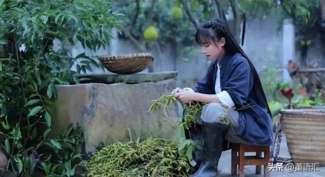 盘点2023年10大草根网红,你听说过几个?登顶之路殊途同归