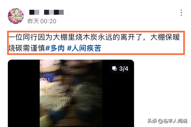 突传噩耗!36岁网红“林芝家多肉”不幸去世,大棚内烧炭导致中毒