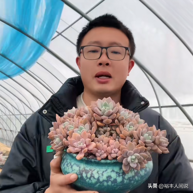 突传噩耗!36岁网红“林芝家多肉”不幸去世,大棚内烧炭导致中毒