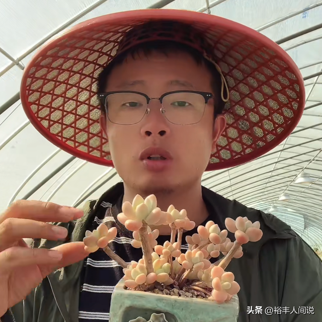 突传噩耗!36岁网红“林芝家多肉”不幸去世,大棚内烧炭导致中毒
