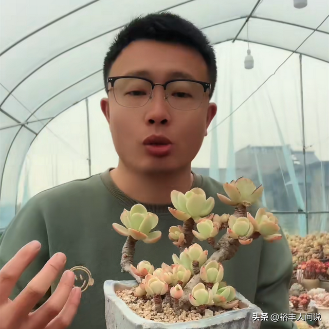 突传噩耗!36岁网红“林芝家多肉”不幸去世,大棚内烧炭导致中毒