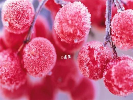弟弟结婚祝福语感动的话