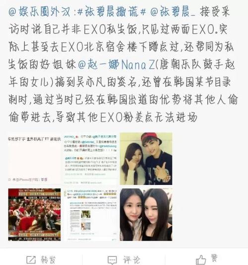exo私生饭,EXO张碧晨(exo私生饭张碧晨是什么意思)