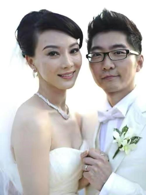 陈数第一任老公的简介,陈数的旧照和现在的照片,本文共(2501字)
