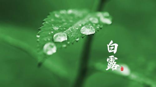 2024祝新婚快乐的祝福语