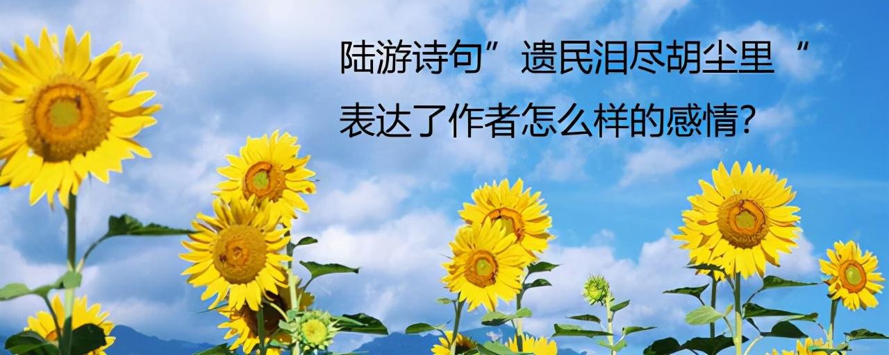 “遗民泪尽胡尘里,南望王师又一年”是什么意思?