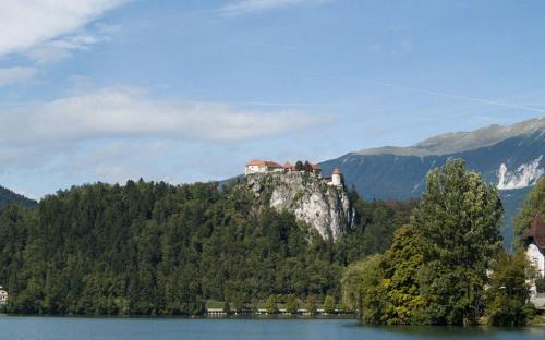 爱花之人必热爱生活