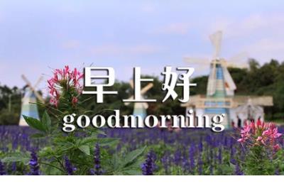 美好爱情句子