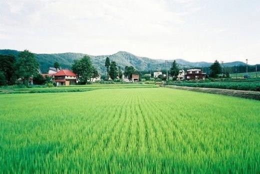 美容整形医院宣传口号