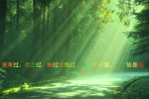 猪年经典短信息