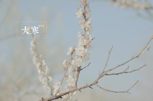 心灵鸡汤经典励志语录