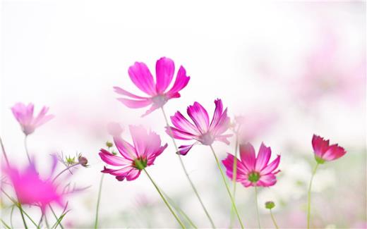 冬至对爱人情侣祝福语