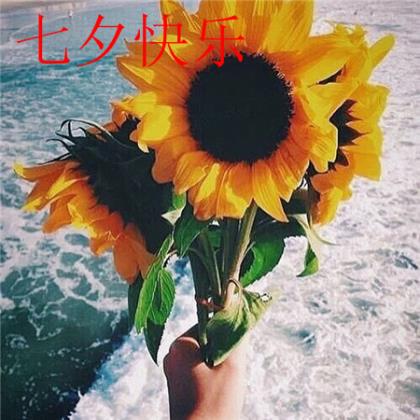 很压抑心很累的说说