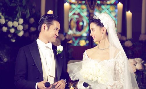 张歆艺离婚，杨树鹏张歆艺分手原因(张歆艺谈杨树鹏)