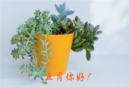 销售公司年会口号大全
