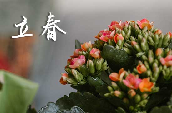立春节气吃什么养生 立春节气吃什么养生
