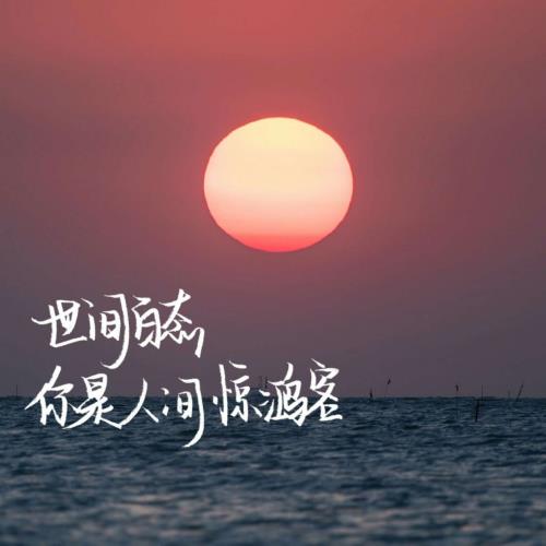 记得爱情电视剧免费观看