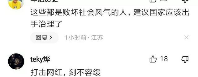 网红是什么人,谁成就了网红
