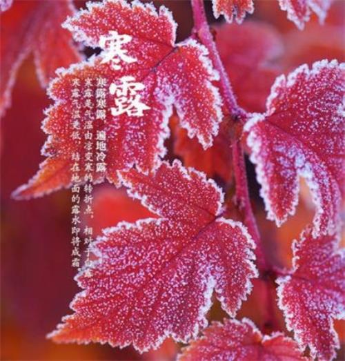 关于工作励志的句子