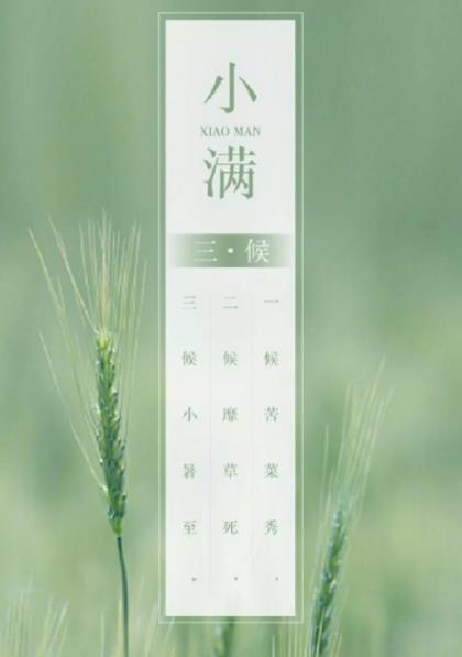 小清新的话