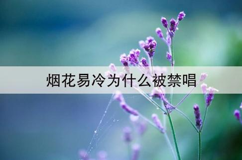 烟花易冷被禁,烟花易冷细思极恐(烟花易冷为什么叫魔曲) 本文共(4813字)