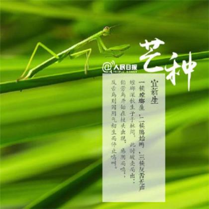 新年朋友祝福语2024年