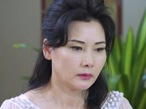 何赛飞演过的电视剧,大宅门何赛飞(大宅门导演不敢用何赛飞演九红)