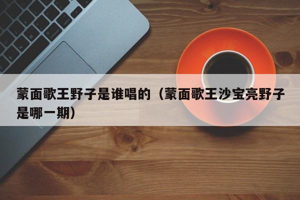 蒙面歌王野子是谁唱的（蒙面歌王沙宝亮野子是哪一期） 