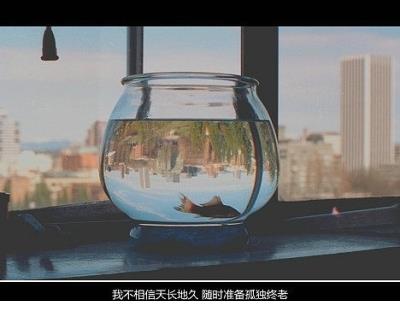 廉政格言警句人生哲理