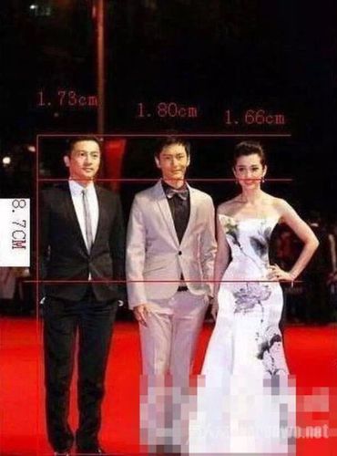 黄晓明多高,陈立农多高(明星黄晓明身高多少)