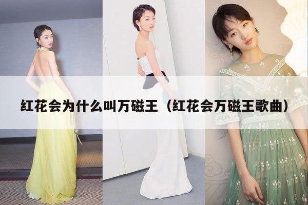 红花会为什么叫万磁王(红花会万磁王歌曲)