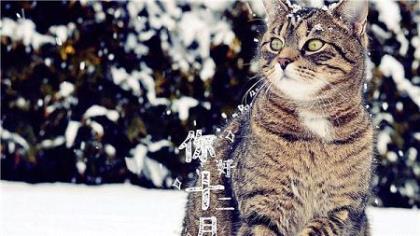 关于目标的励志名言