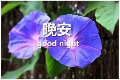 中考励志名言短句霸气