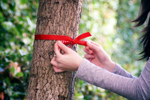 祝朋友端午节安康的句子