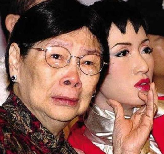 梅艳芳什么原因怎么走的,为什么不(梅艳芳是因为什么)
