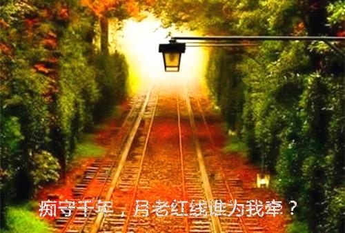 搞笑广告语录