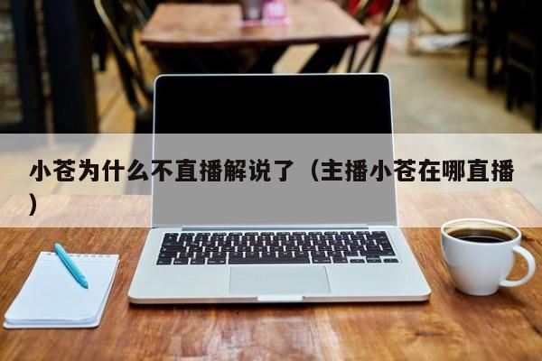 小苍为什么不直播解说了(主播小苍在哪直播)