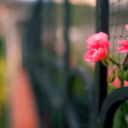 汉字特点歇后语对联