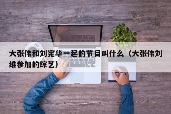 大张伟和刘宪华一起的节目叫什么(大张伟刘维参加的综艺)