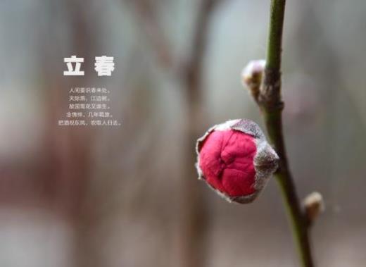 毕业离别唯美句子